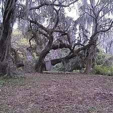 Rental info for Other Home in Sebring for For Sale By Owner