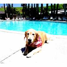 Rental info for Country Village 55+ SENIOR Apartments