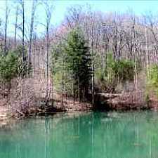 Rental info for Single Family Home Home in Mineral bluff for Owner Financing