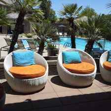 Rental info for Array South Mountain - Newly Renovated!