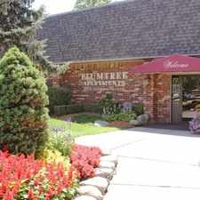 Rental info for Plumtree Apartments