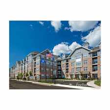 Rental info for Avalon Shelton