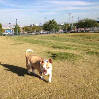 Photo of Dog Park in Las Vegas