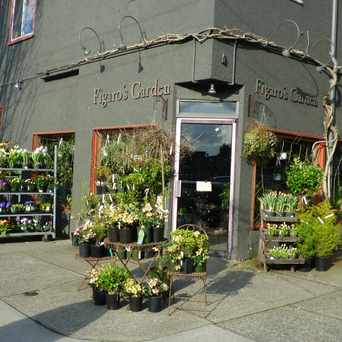 Photo of Figaro's Garden in Grandview-Woodland, Vancouver