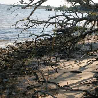 Photo of Daniel Island in Charleston