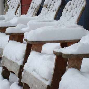 Photo of Verite Coffee and Cupcake Royale, 34th Avenue, Seattle, WA in Madrona, Seattle