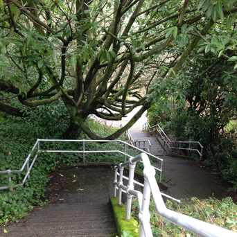 Photo of Urban Stairwell in Madrona, Seattle