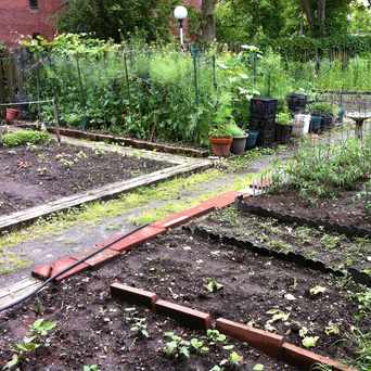Photo of Saranac New Castle Garden in Lower Roxbury, Boston
