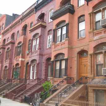 Photo of South Bronx Brownstones in South Bronx, New York