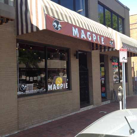 Photo of Magpie in Somerville