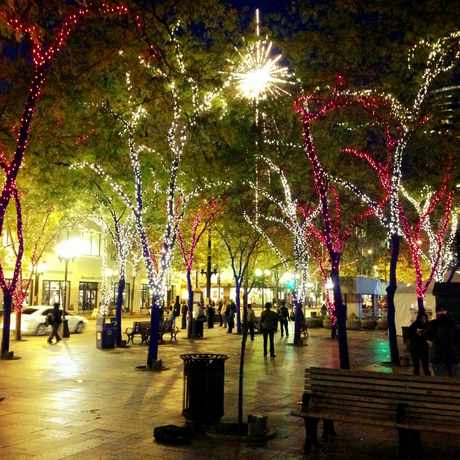 Photo of Westlake Park in Seattle