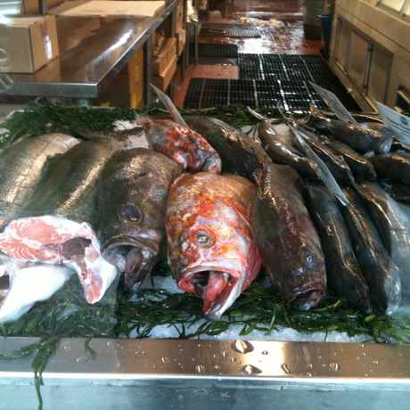 Photo of Monterey Fish in Berkeley