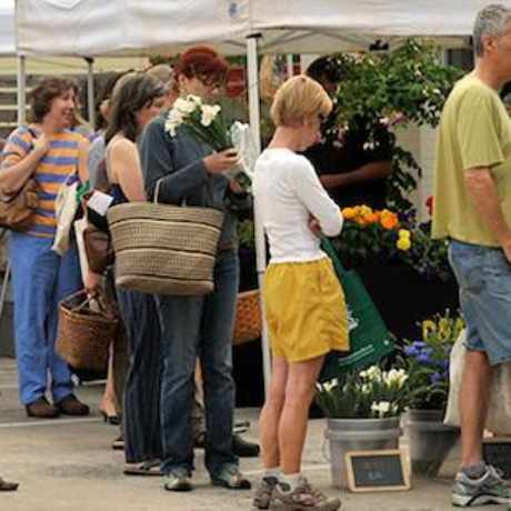 Photo of Morningside Farmers Market in Morningside - Lenox Park, Atlanta
