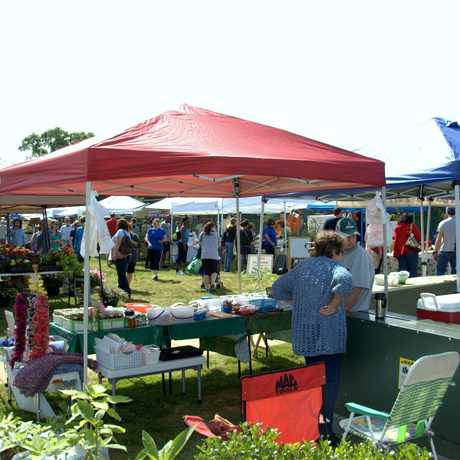 Photo of Madison City Farmers Market in Madison