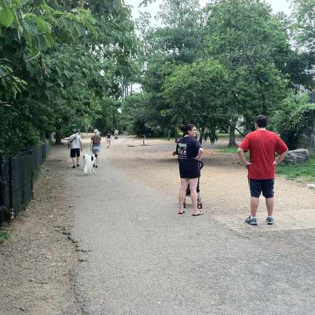 shirlington park nauck arlington apartments for rent and rentals walk score shirlington park nauck arlington apartments for rent and rentals walk score