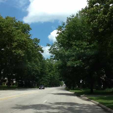 Photo of West Blvd in Cleveland