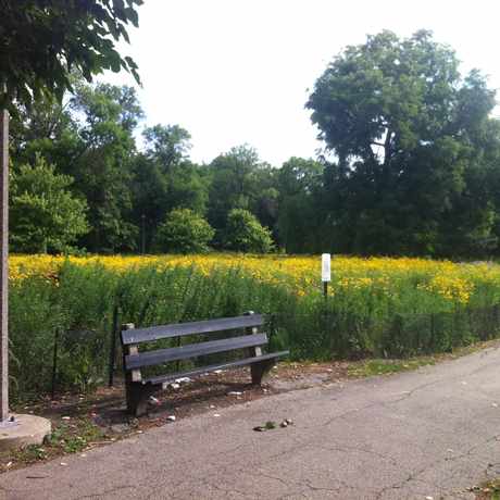 Photo of California & Le Moyne in Chicago