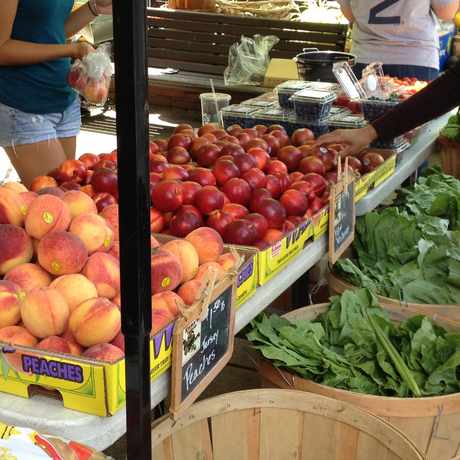 Photo of Weekend farmer's Market in Melrose