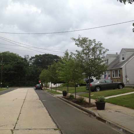 Photo of Lynbrook in Lynbrook