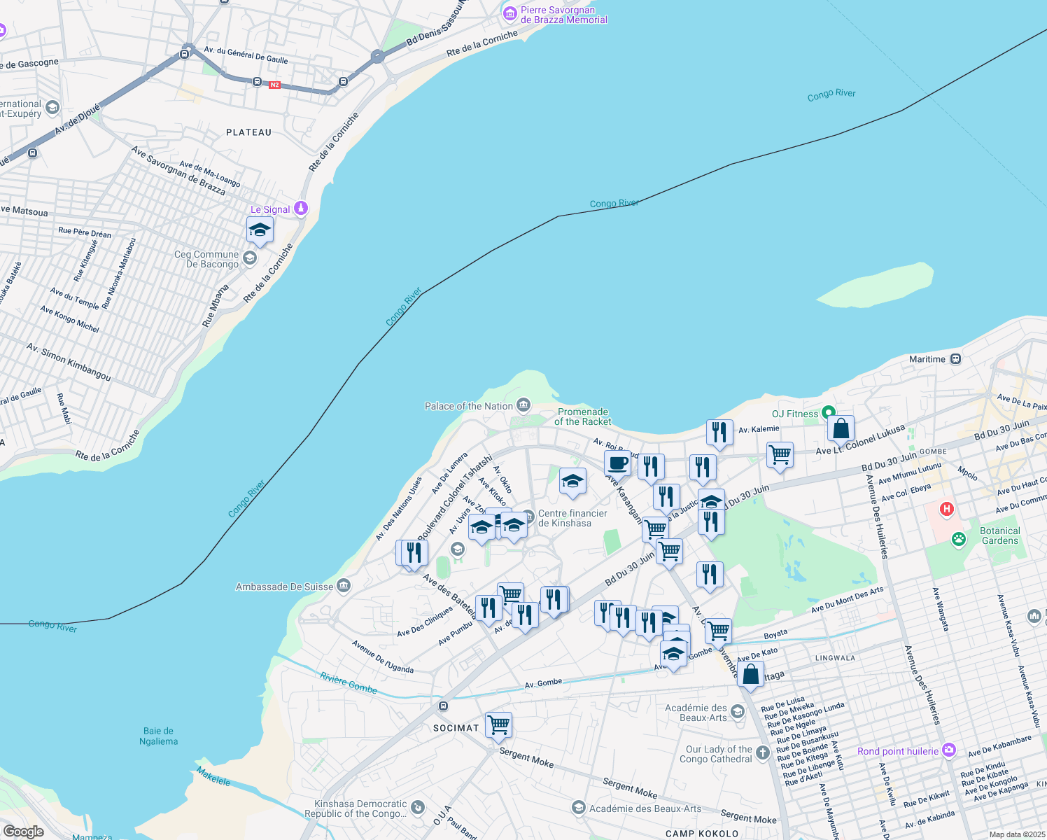 map of restaurants, bars, coffee shops, grocery stores, and more near Avenue De Lemera in Kinshasa