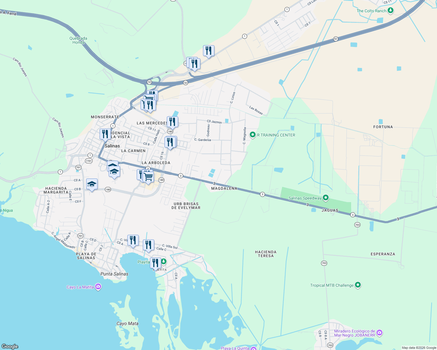 map of restaurants, bars, coffee shops, grocery stores, and more near in Aguirre