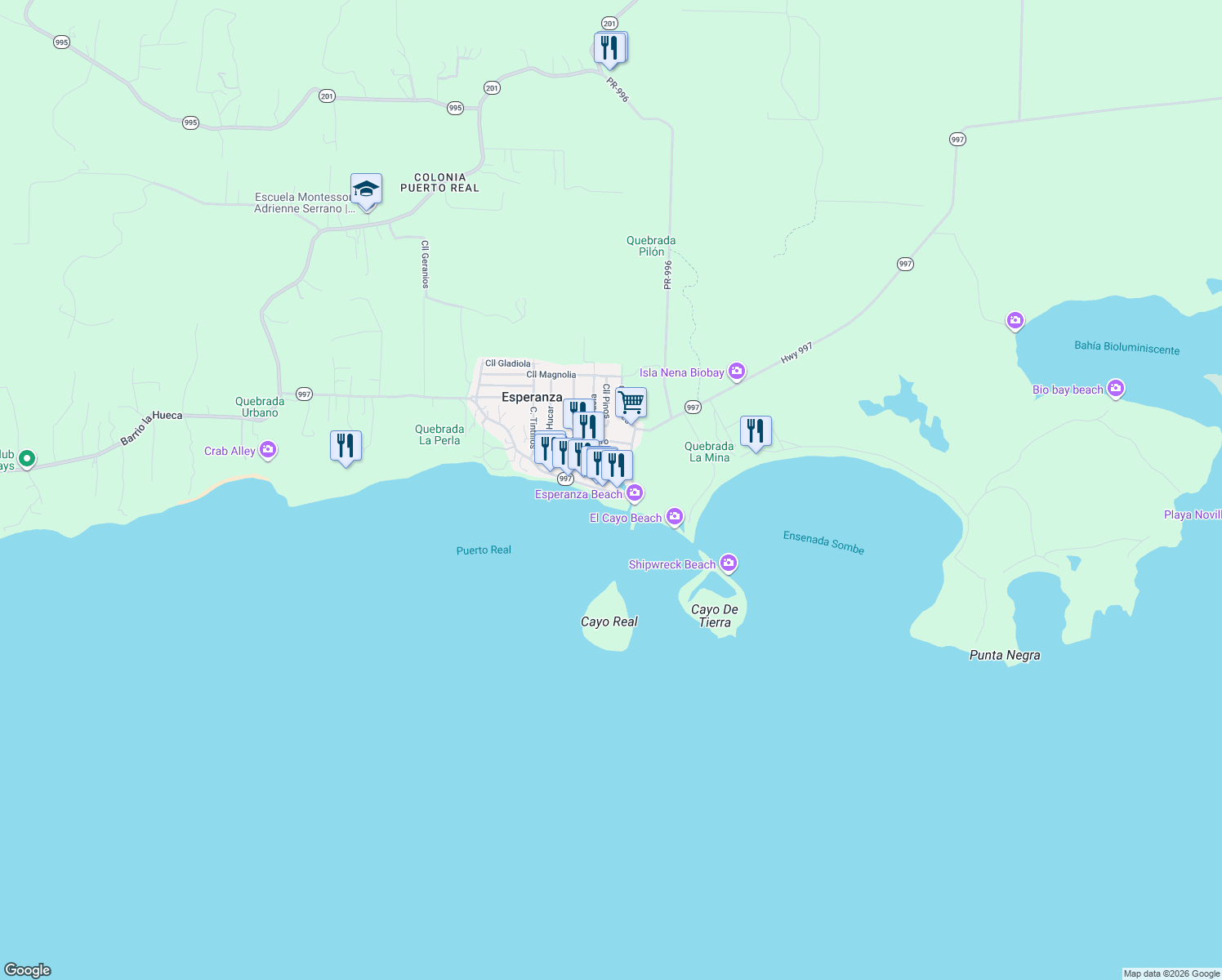 map of restaurants, bars, coffee shops, grocery stores, and more near 107 Calle Flamboyan in Vieques