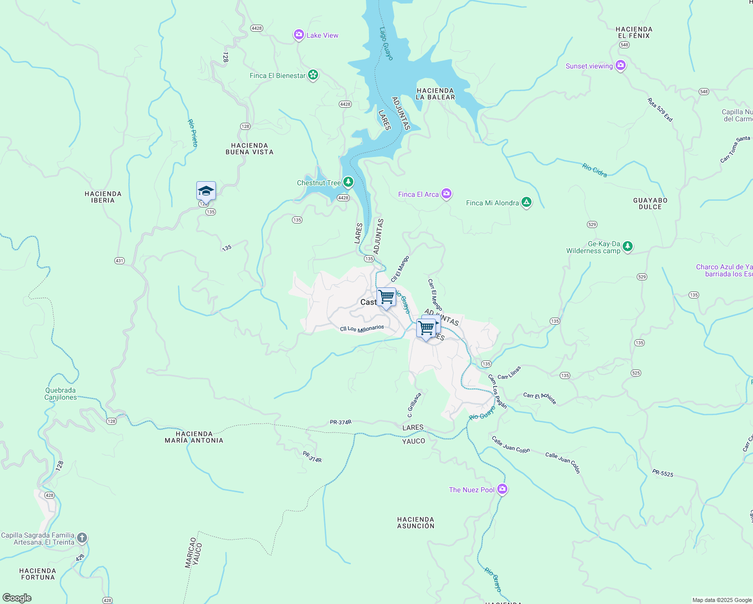 map of restaurants, bars, coffee shops, grocery stores, and more near in Castaner