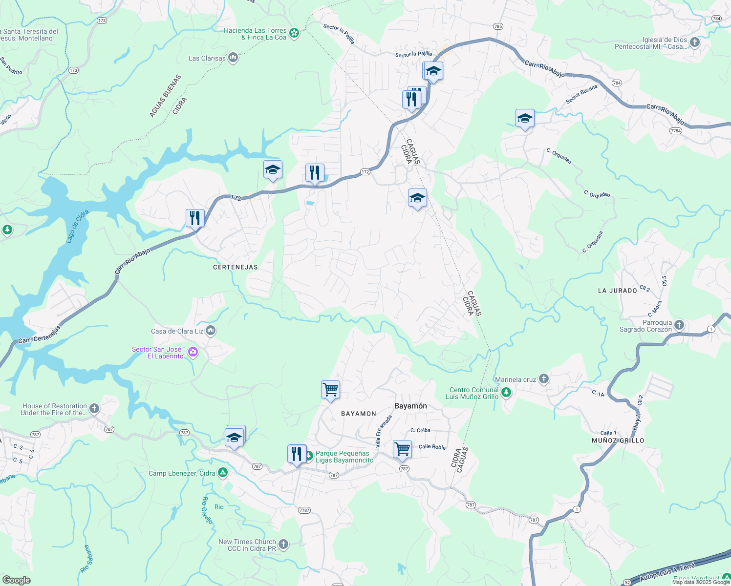 map of restaurants, bars, coffee shops, grocery stores, and more near in Bayamón