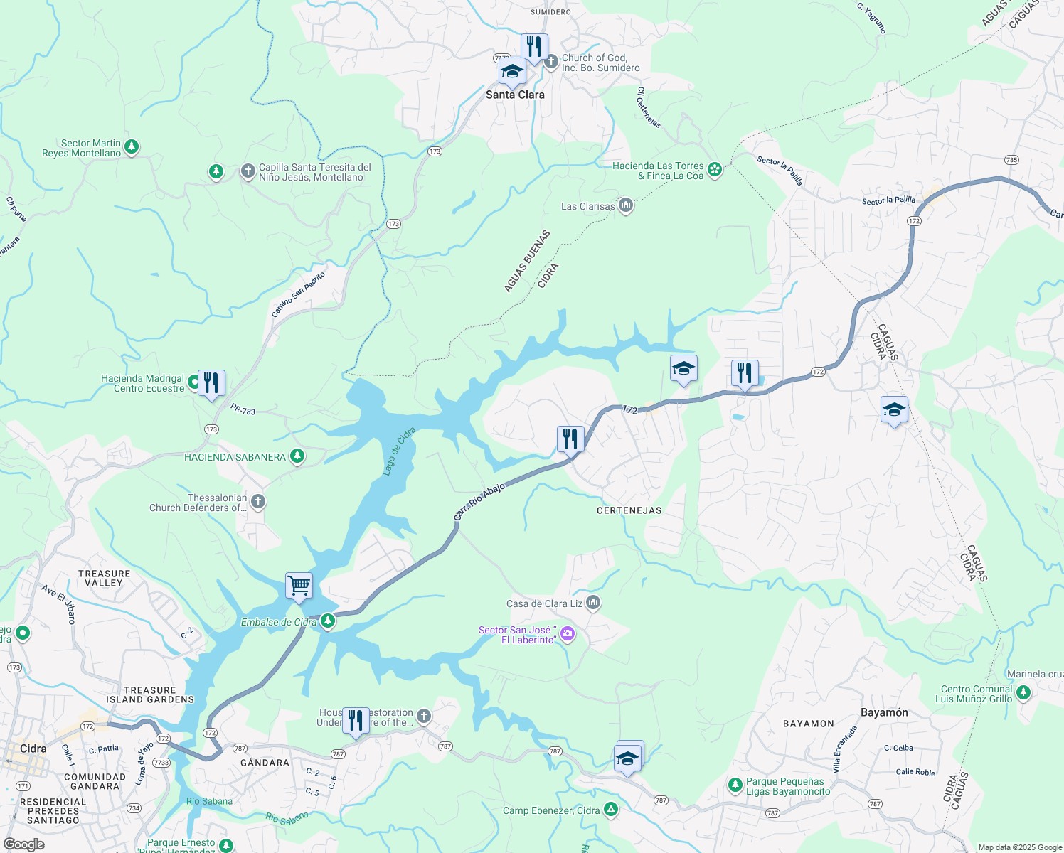 map of restaurants, bars, coffee shops, grocery stores, and more near in Bayamón