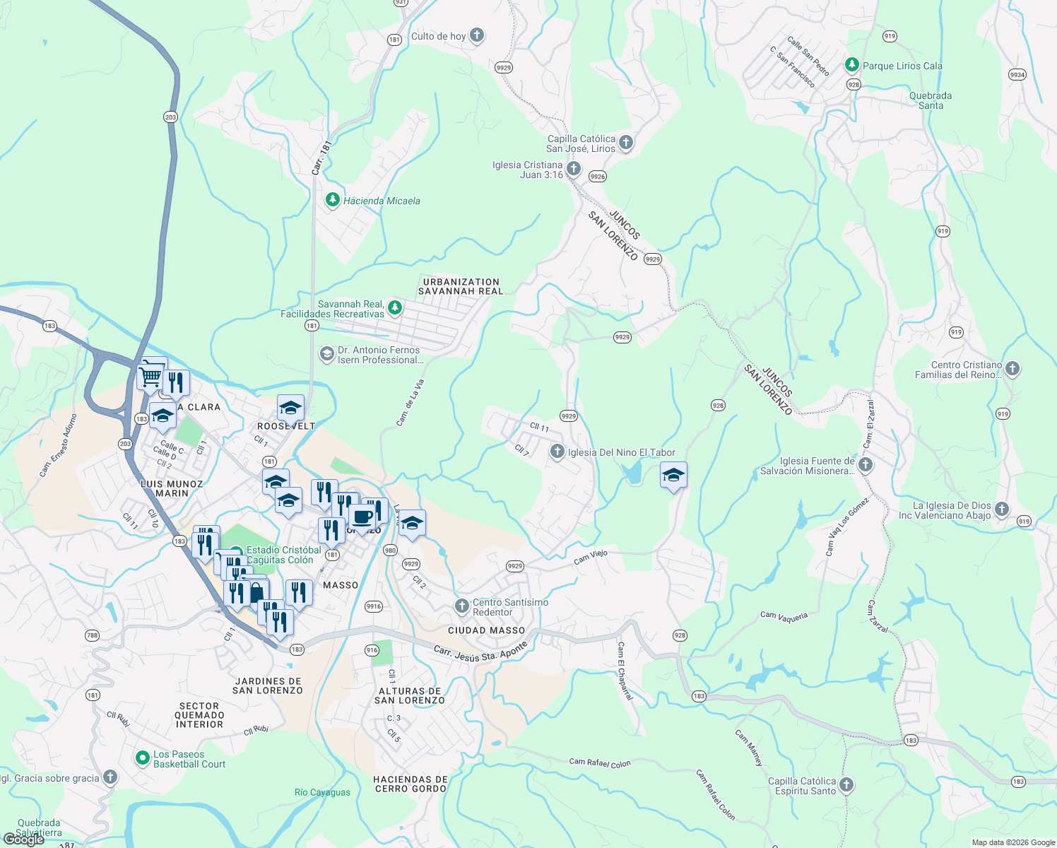map of restaurants, bars, coffee shops, grocery stores, and more near in San Lorenzo