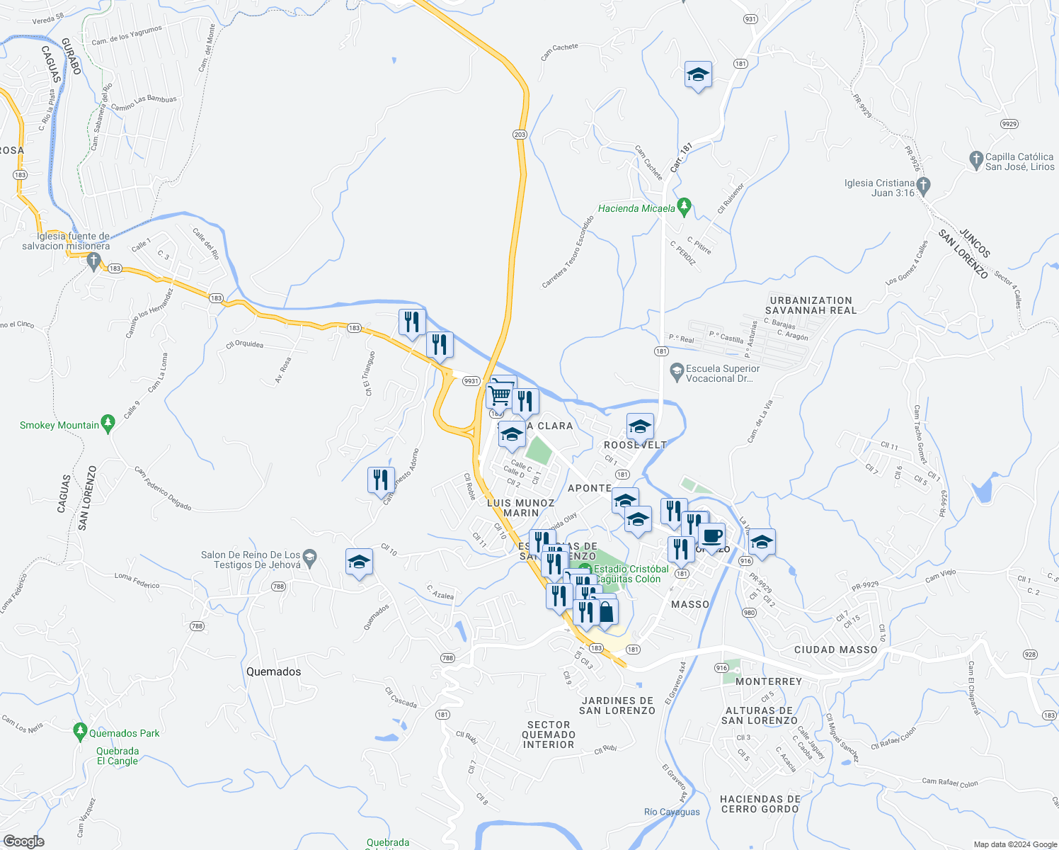 map of restaurants, bars, coffee shops, grocery stores, and more near Puerto Rico 9931 in San Lorenzo