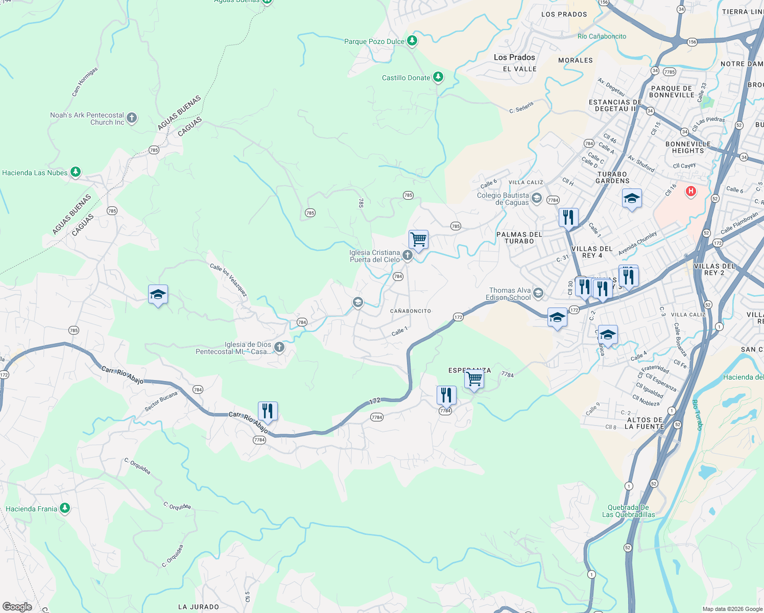 map of restaurants, bars, coffee shops, grocery stores, and more near in Caguas