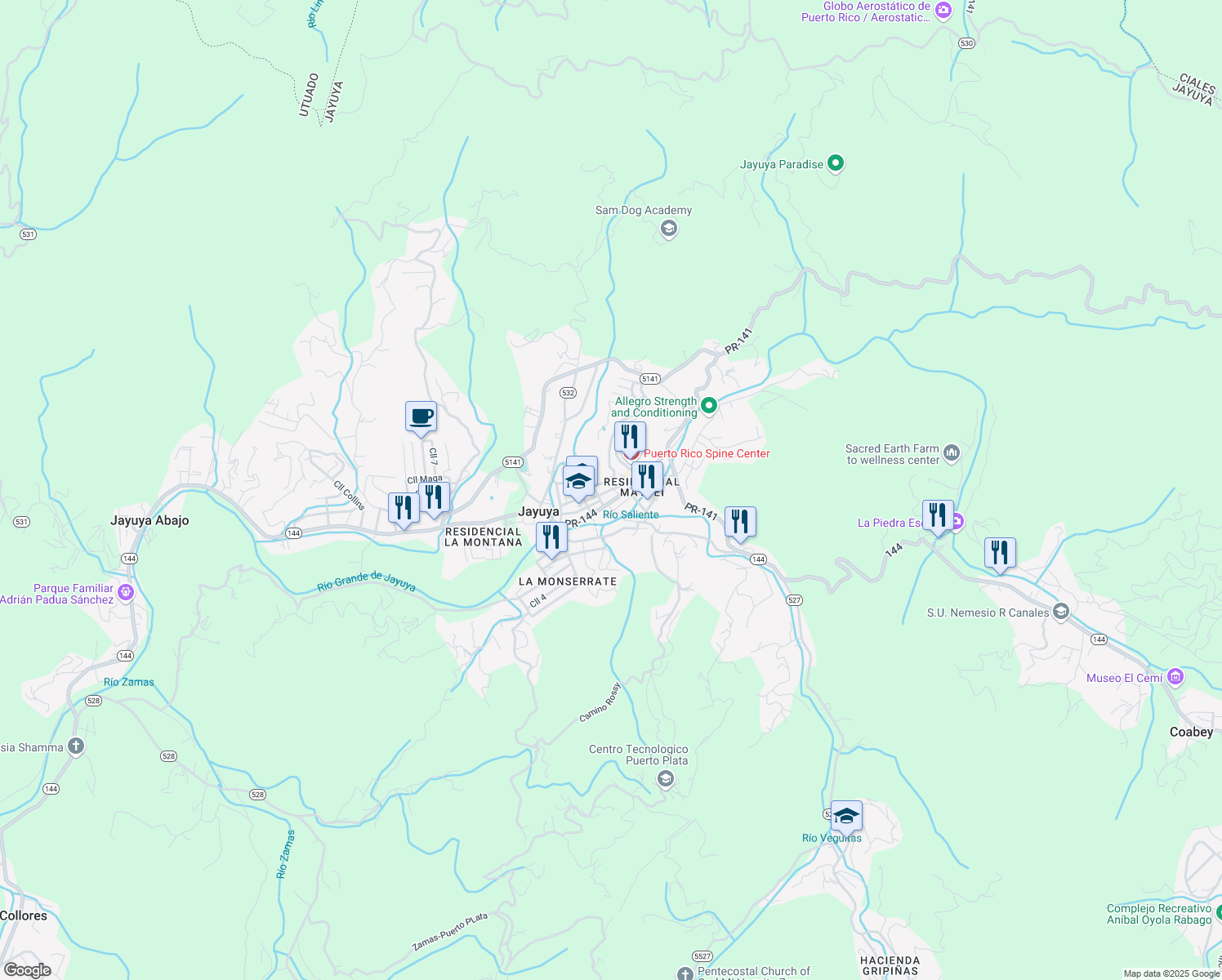 map of restaurants, bars, coffee shops, grocery stores, and more near Calle Nemesio Canales in Jayuya