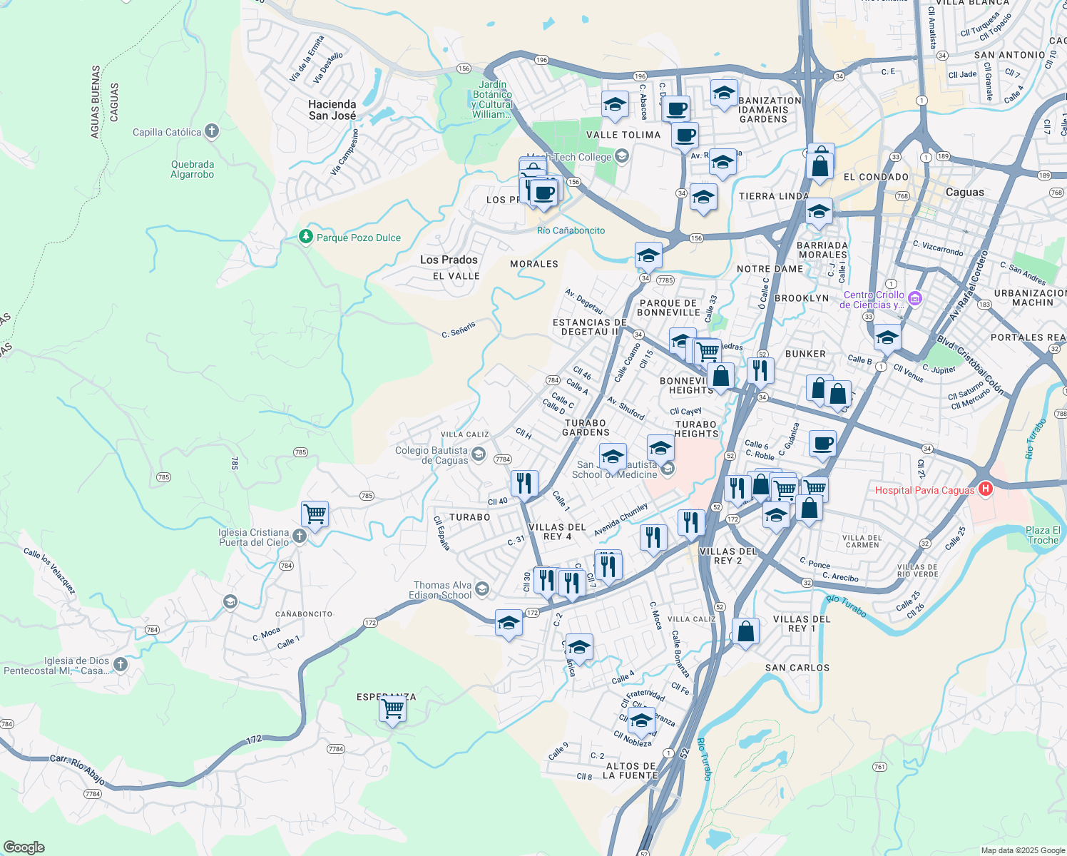 map of restaurants, bars, coffee shops, grocery stores, and more near 1010 Calle G in Caguas