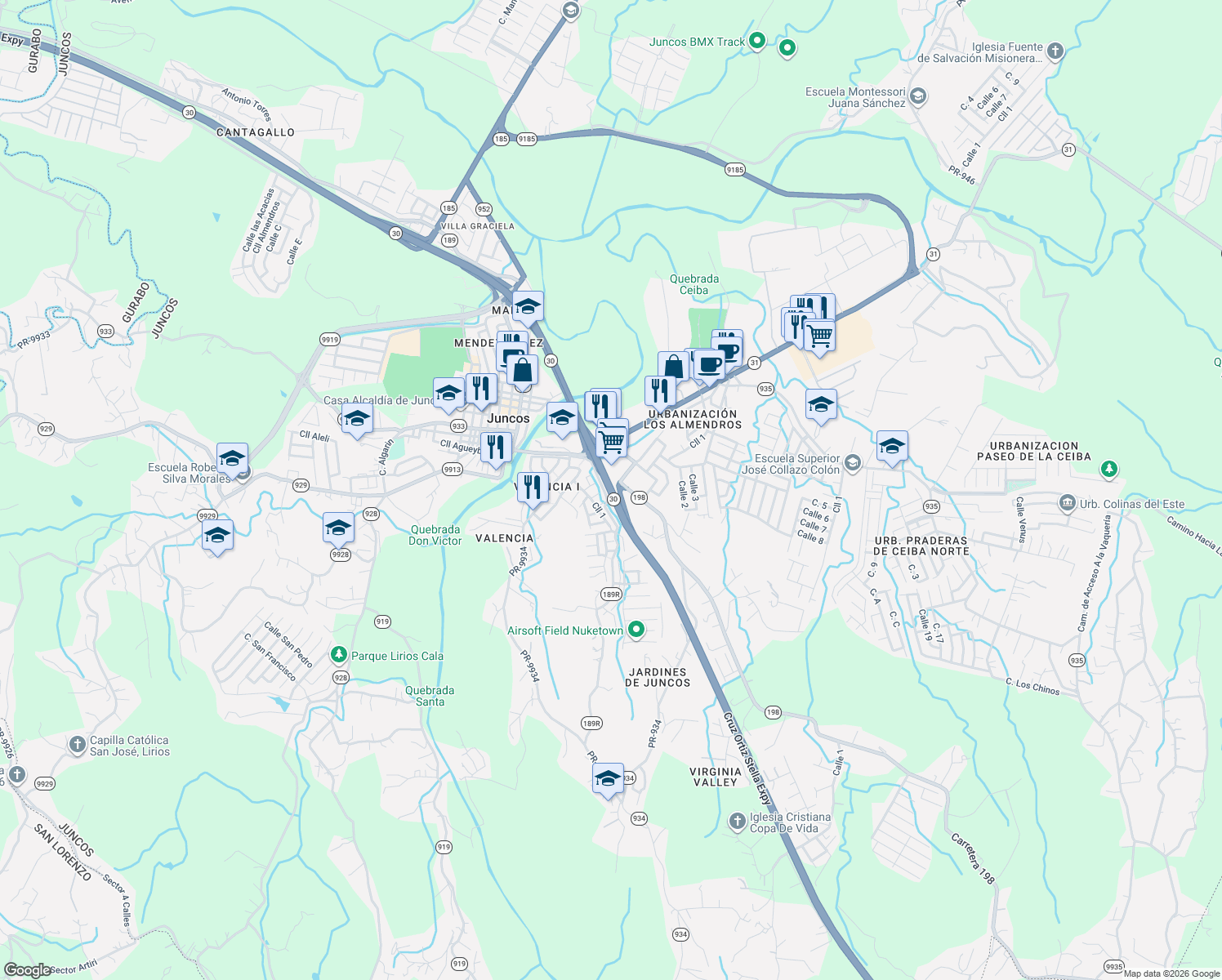 map of restaurants, bars, coffee shops, grocery stores, and more near Calle José Santiago Fernández in Juncos