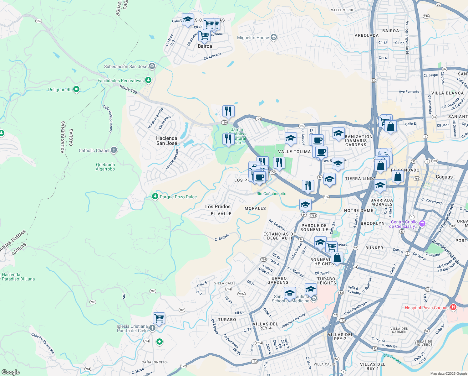 map of restaurants, bars, coffee shops, grocery stores, and more near in Caguas
