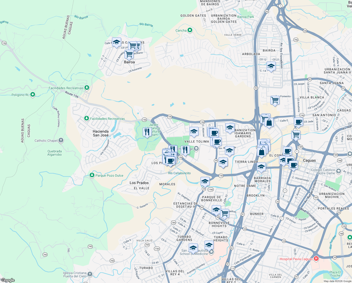 map of restaurants, bars, coffee shops, grocery stores, and more near Route 156 in Caguas