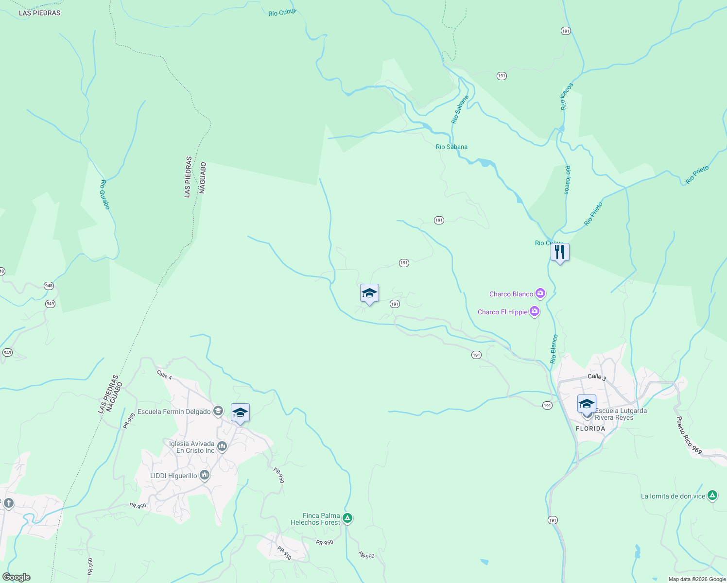 map of restaurants, bars, coffee shops, grocery stores, and more near in Naguabo