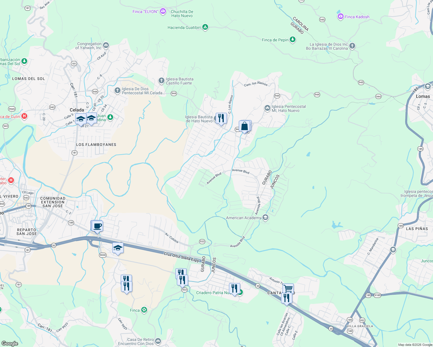 map of restaurants, bars, coffee shops, grocery stores, and more near Calle Jazmin in Juncos
