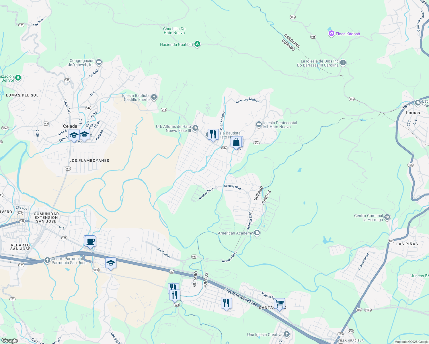 map of restaurants, bars, coffee shops, grocery stores, and more near 97 Calle Aleli in Gurabo