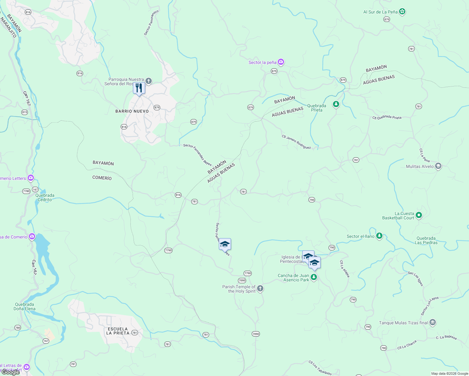 map of restaurants, bars, coffee shops, grocery stores, and more near Carr 781 in Bayamón