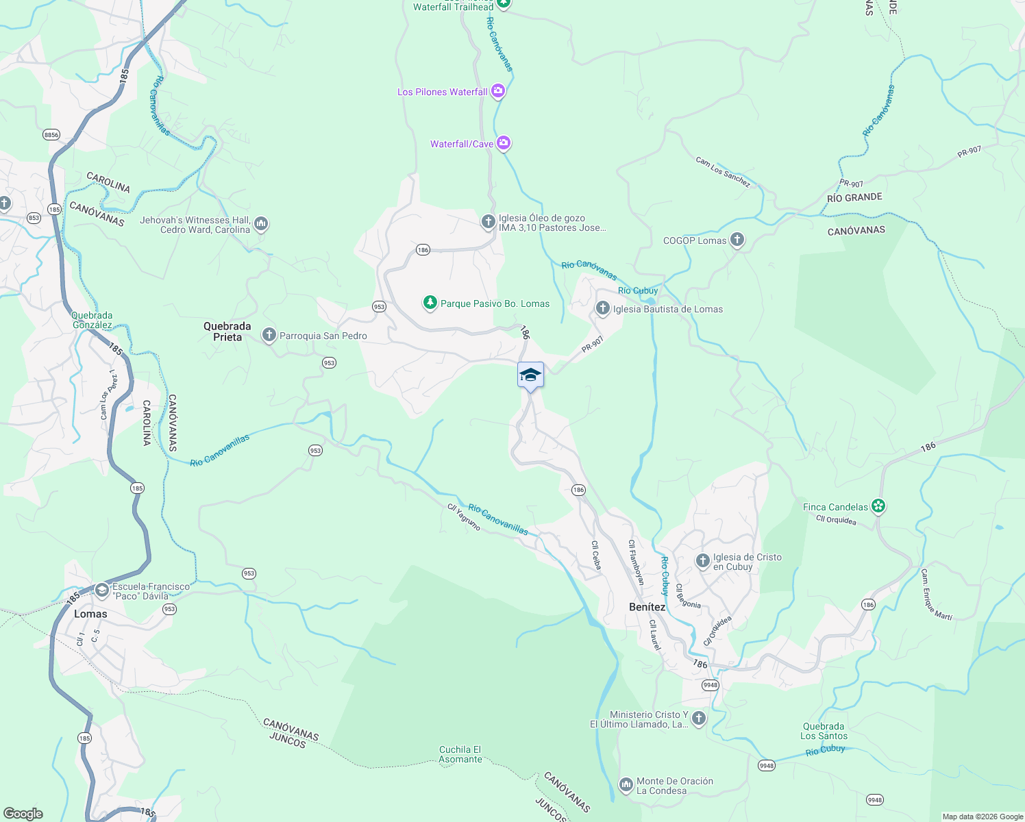 map of restaurants, bars, coffee shops, grocery stores, and more near Puerto Rico 186 in Juncos
