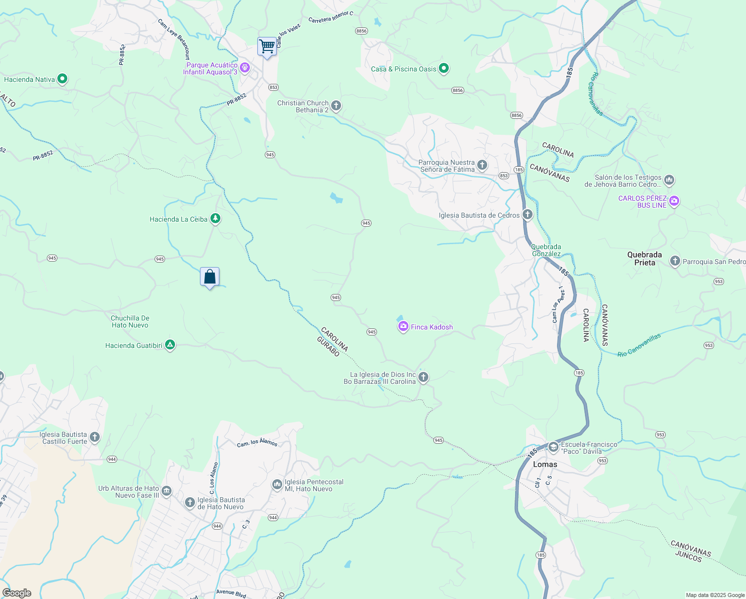 map of restaurants, bars, coffee shops, grocery stores, and more near in Carolina