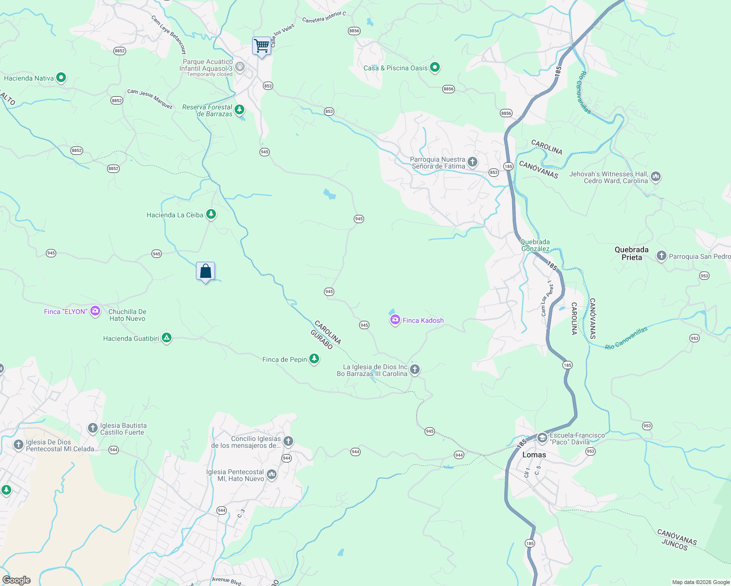 map of restaurants, bars, coffee shops, grocery stores, and more near in Carolina