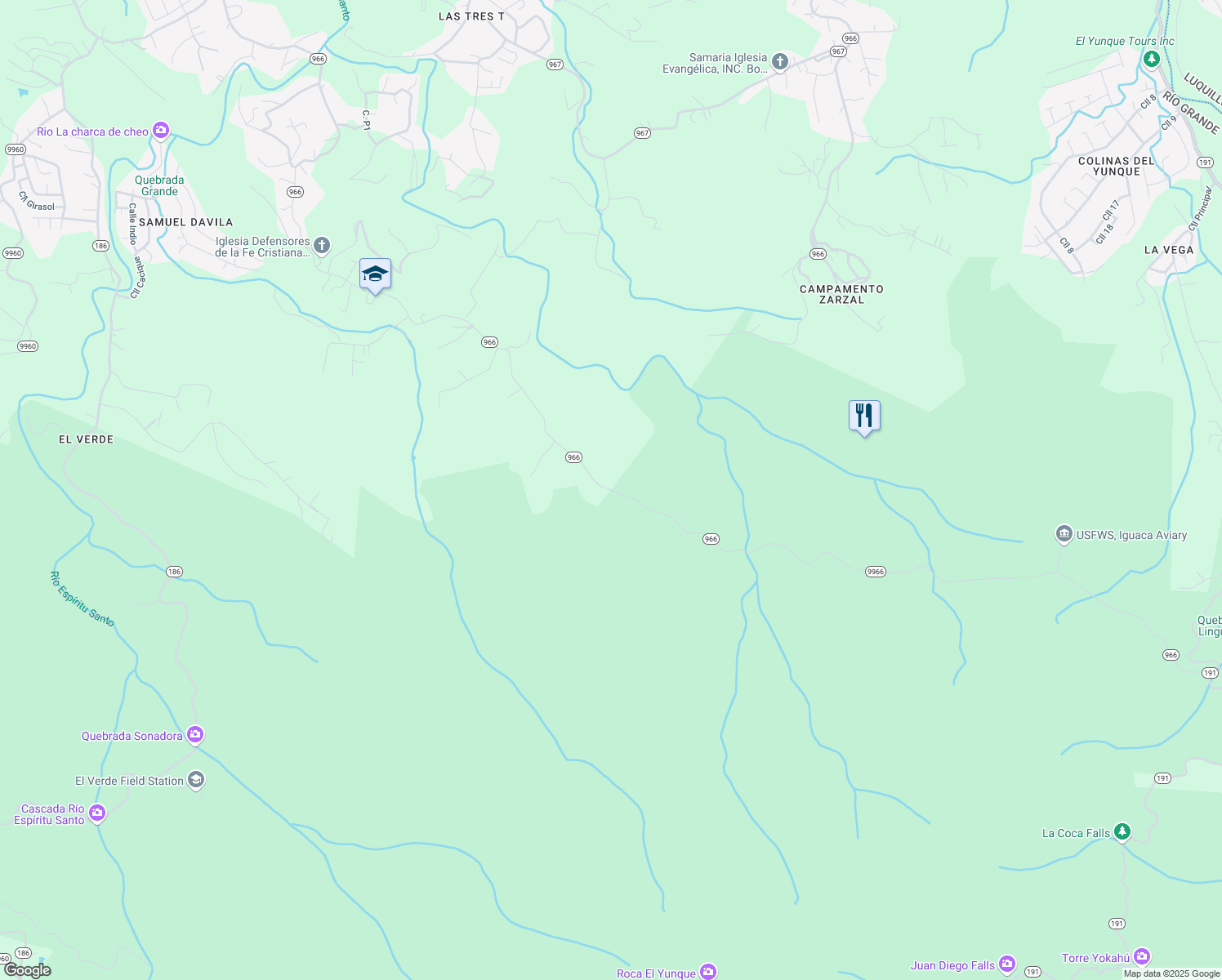 map of restaurants, bars, coffee shops, grocery stores, and more near Puerto Rico 9966 in Rio Grande