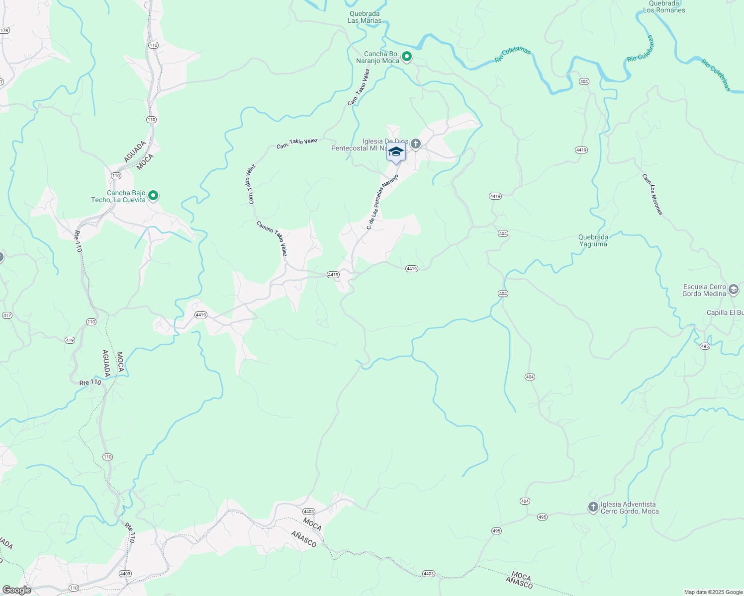 map of restaurants, bars, coffee shops, grocery stores, and more near in Naranjo