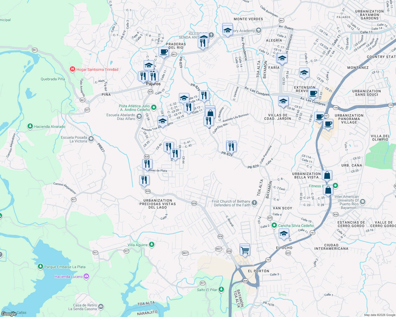 map of restaurants, bars, coffee shops, grocery stores, and more near in Pájaros