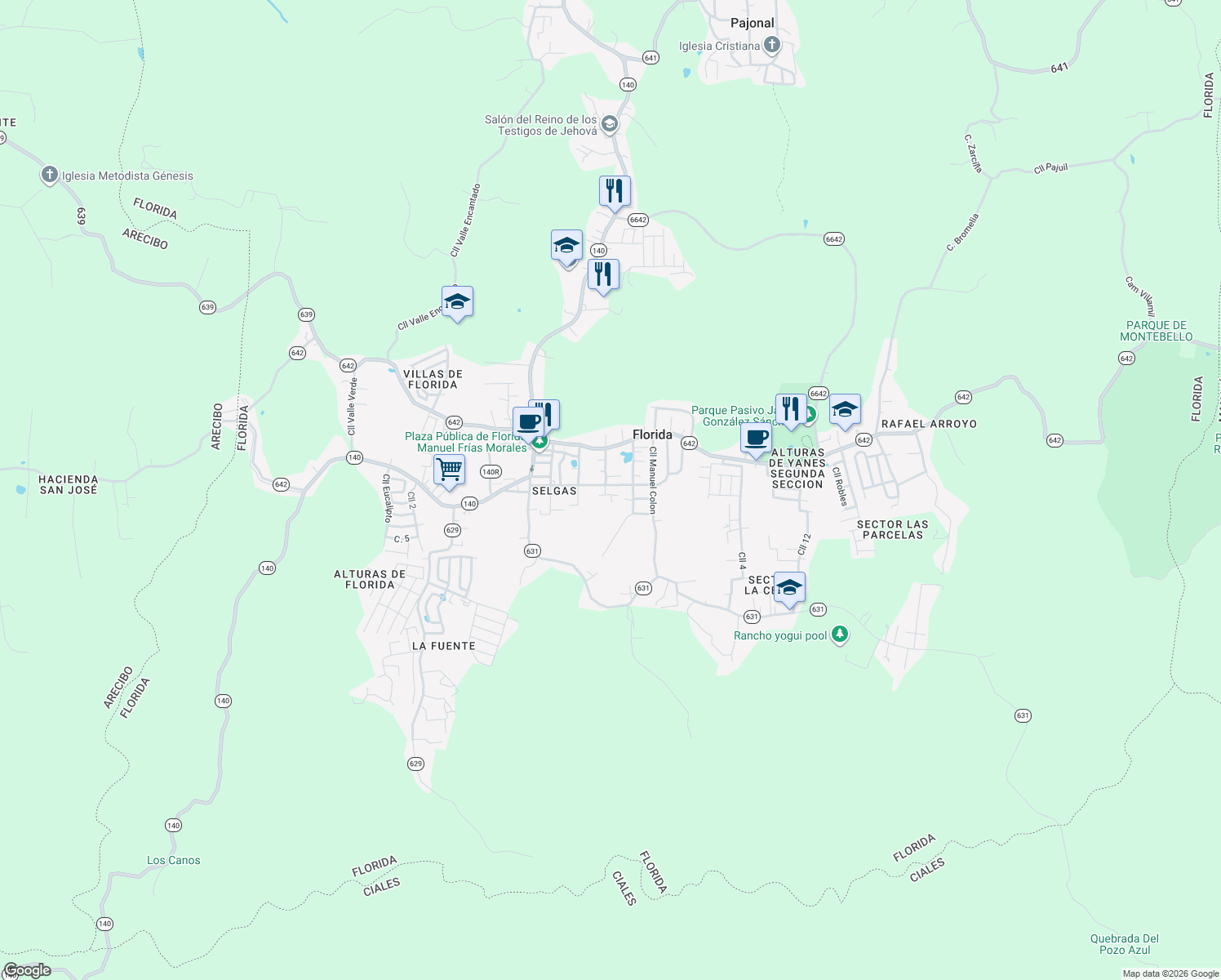 map of restaurants, bars, coffee shops, grocery stores, and more near 96 Calle David Lopez in Florida