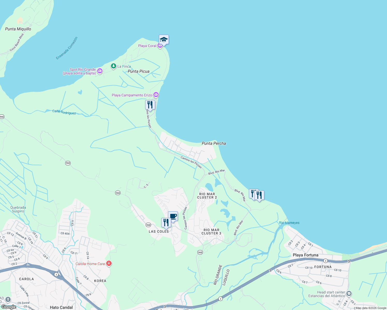 map of restaurants, bars, coffee shops, grocery stores, and more near Camino Las Picüas in Río Grande