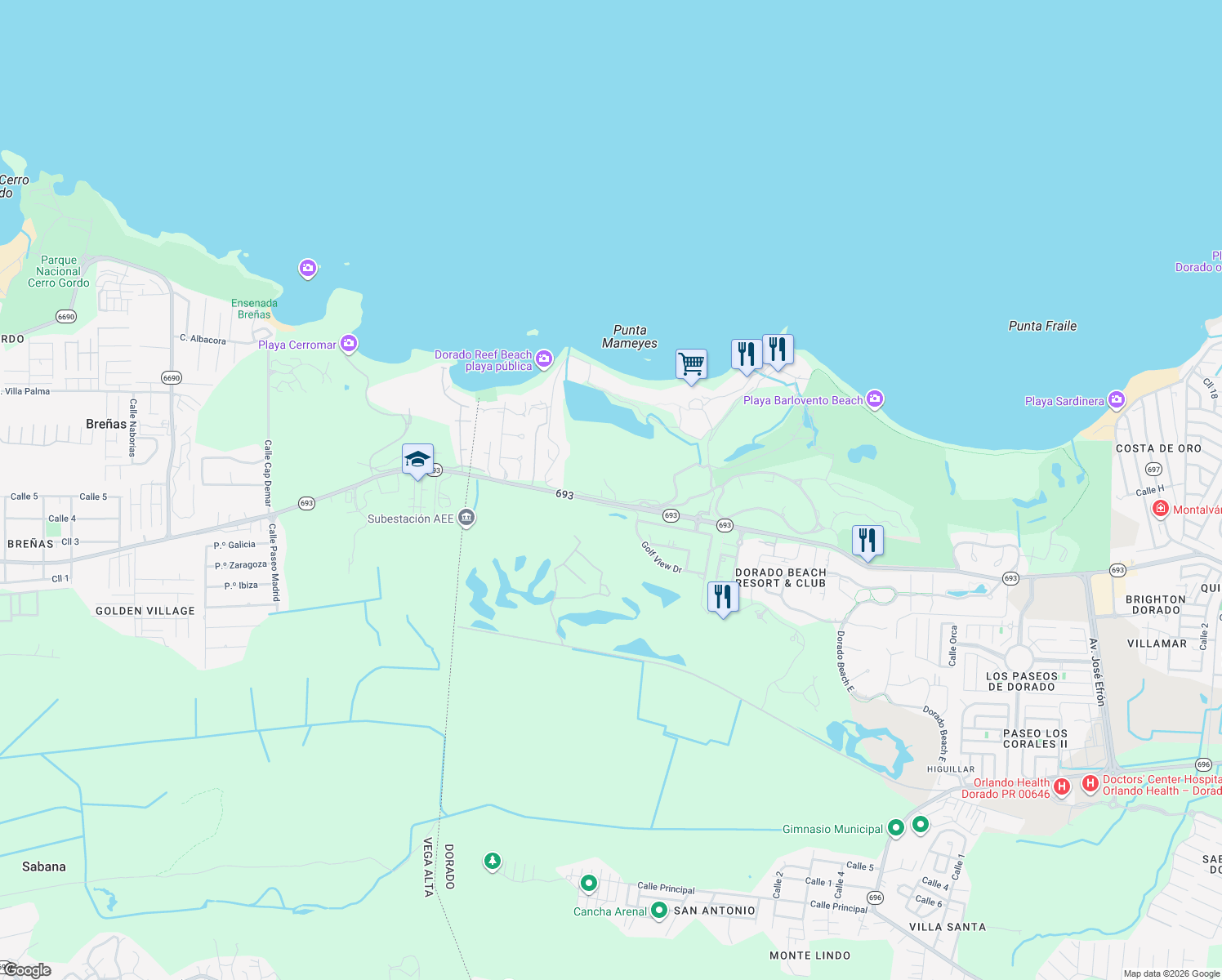 map of restaurants, bars, coffee shops, grocery stores, and more near in Dorado